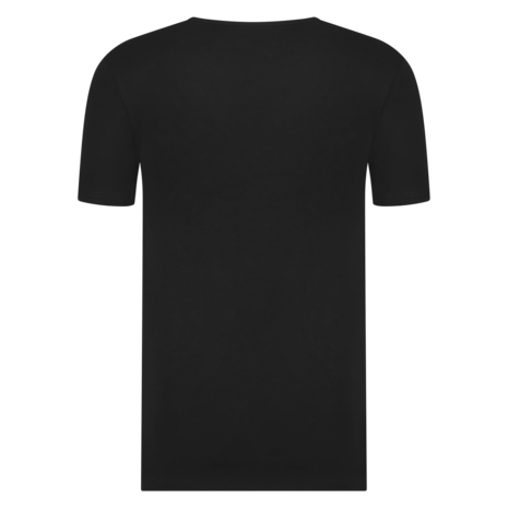 Beeren Heren T-shirt M181 Green Comfort V-Hals