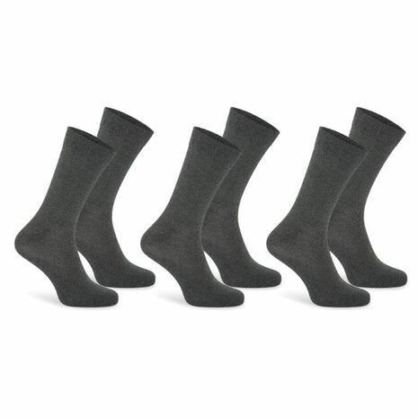 Beeren Basic Sokken (3-pack)